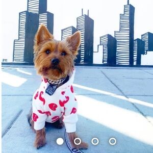 Dog hoodie with hearts CDG
